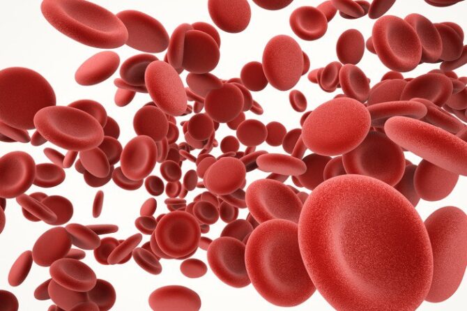 The role of ultrasound in detecting deep vein thrombosis and abdominal aorta aneurysm