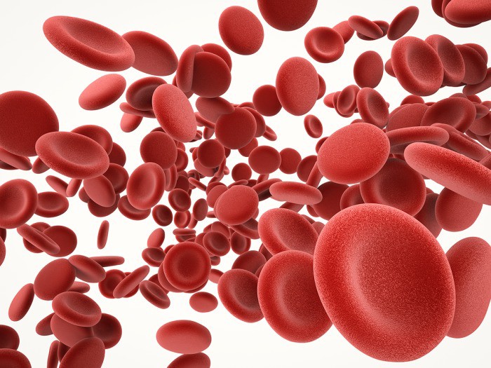 Navigating Vascular Health