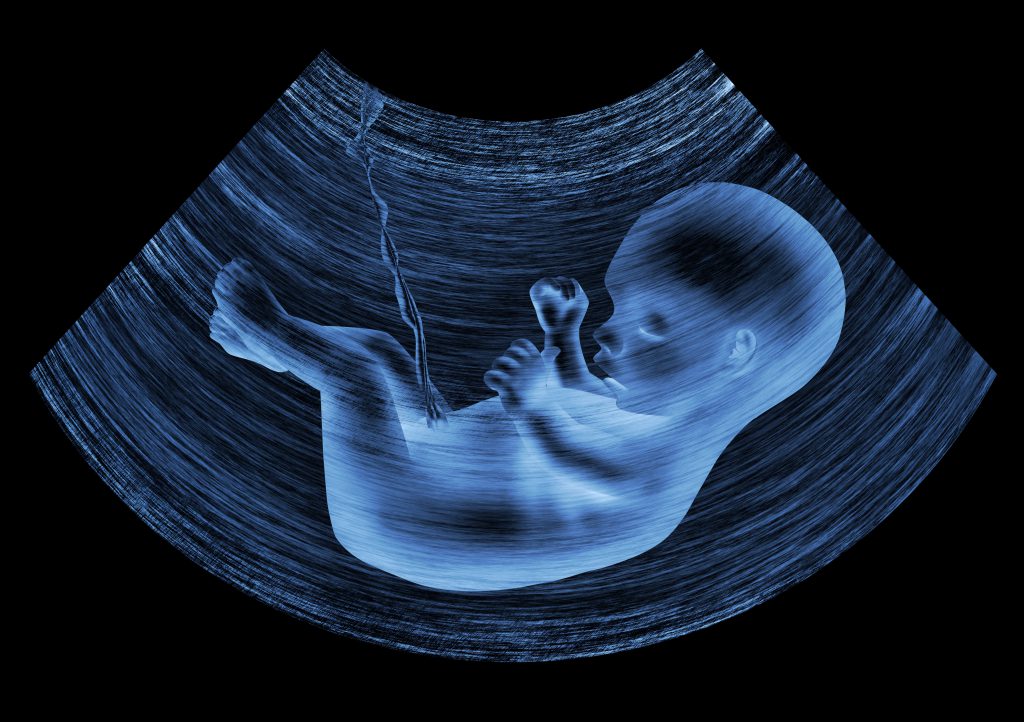 Anatomy-scan