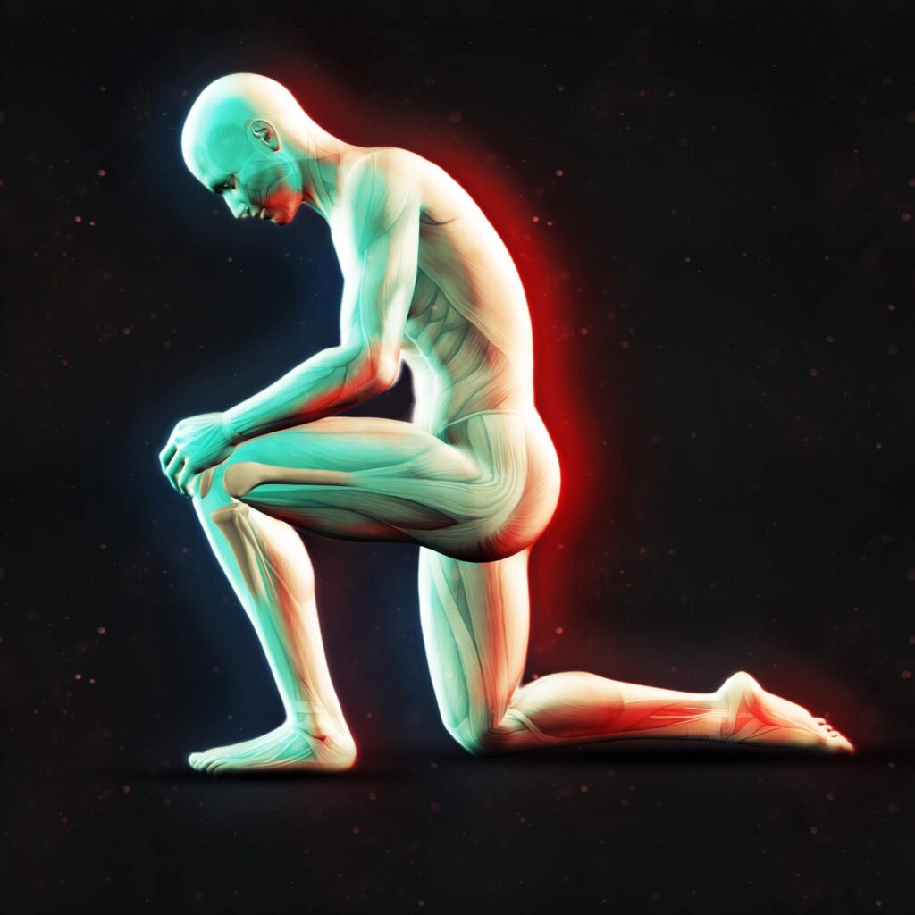 Musculoskeletal Ultrasound